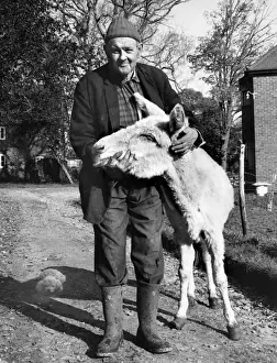 Unusual Animal Friends Prints: Man and mule