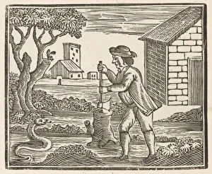 Prehistoric Animal Artwork Prints: Man and Snake