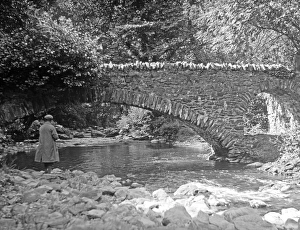 Man standing by a stream near a bridge Man standing by a stream near a bridge
