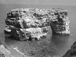 Prints of Marden Rock, near South Shields, County Durham, England. Date: BC County Durham Prints: Marsden Rock Print, County Durham, England, circa BC