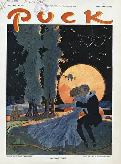 Puck Magazine Artwork Prints: Mating time