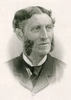 Matthew Arnold Writer and Critic Print 1822-1888