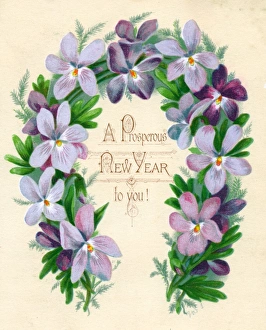 Mauve and purple flowers on a New Year card Mauve and purple flowers on a New Year card