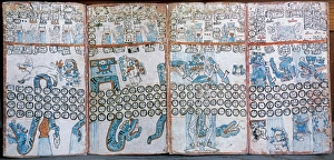 Maya Codices. The Madrid Codex (Codex Tro-Cortesianus) . Pos Maya Codices. The Madrid Codex (Codex Tro-Cortesianus) . Pos