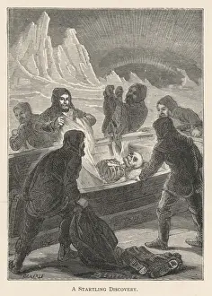 Polar Exploration Prints: Mcclintock / Franklin