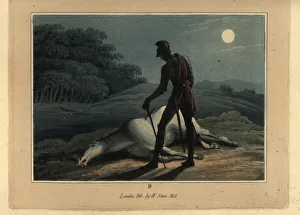Medieval knight in armour standing over his slain horse Medieval knight in armour standing over his slain horse