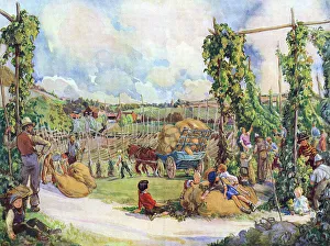 A Memory of a Hop Field by F. C. Twort A Memory of a Hop Field by F. C. Twort