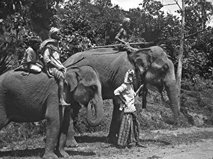 Men and elephants on the Kandy road, Sri Lanka Men and elephants on the Kandy road, Sri Lanka