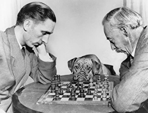 Two men playing chess, watched by a boxer dog Two men playing chess, watched by a boxer dog