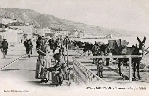 Menton, France - Promenade de Midi - Mules on the beach Menton, France - Promenade de Midi - Mules on the beach