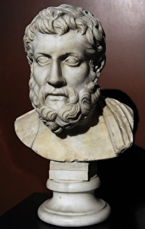 Metrodorus of Lampsacus (the Younger) (331-278 BC). Bust Metrodorus of Lampsacus (the Younger) (331-278 BC). Bust