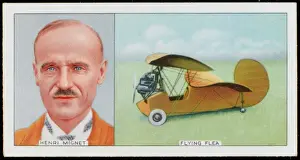 Vintage Airplane Designs Prints: Mignet & Flying Flea