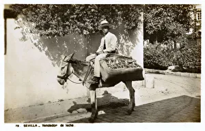 Milk vendor on a donkey, Seville, Spain Milk vendor on a donkey, Seville, Spain