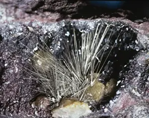 Natural History Museum Specimens Prints: Millerite