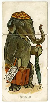 Vintage Elephant Illustrations Prints: Misfitz - Jumbo