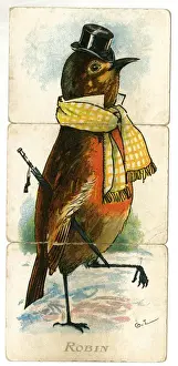 Early 20th Century Games Prints: Misfitz - Robin