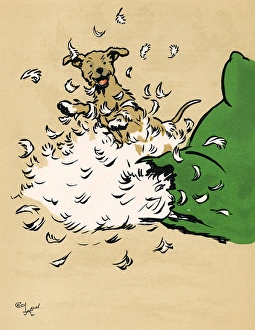 Mongrel puppy makes a mess of a cushion Mongrel puppy makes a mess of a cushion