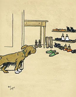 Mongrel puppy tempted by his masters shoes Mongrel puppy tempted by his masters shoes