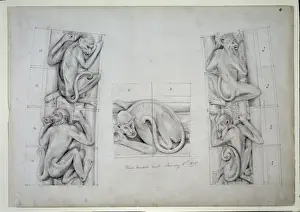 Prints of Drawing 4 Vol 1 by Alfred Waterhouse for the ornamentation of pillars at the Natural History Museum, London, 1875 Alfred Waterhouse Prints: Natural History Museum Pillar Print, 1875