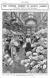 Morning at the flower market in Covent Garden, 1905 Morning at the flower market in Covent Garden, 1905