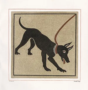 Mosaic of a dog from the porter's threshold Mosaic of a dog from the porter's threshold
