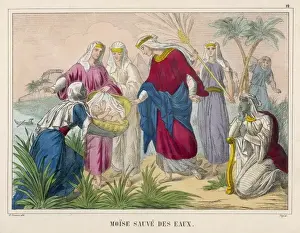Biblical Scenes For Sale Prints: Moses, Child, Saved