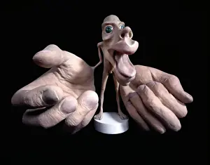 Motor Homunculus Print: Brain-Body Proportion Model