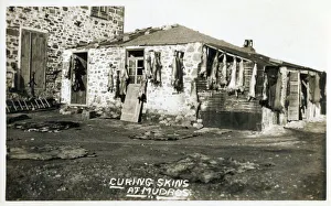 Moudros, Lemnos, Greece - Curing Skins. The sheepskins were used to make shoes Moudros, Lemnos, Greece - Curing Skins. The sheepskins were used to make shoes