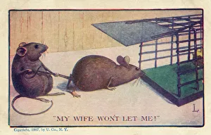 Mouse held away from Mousetrap Mouse held away from Mousetrap