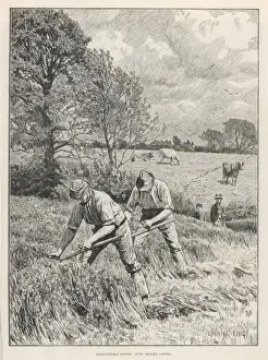 Historical Farm Equipment Prints: Mowing Clover