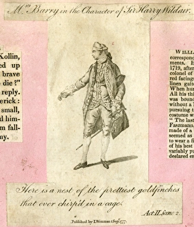 Mrs Ann Barry as Sir Harry Wildair in The Constant Couple Mrs Ann Barry as Sir Harry Wildair in The Constant Couple