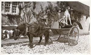 Mrs K McNeil of Glasgow with three Borzois Mrs K McNeil of Glasgow with three Borzois