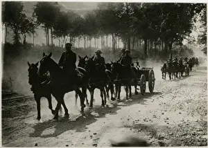 British Troops In Ww1 Prints: Mule-Drawn Ammunition