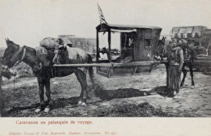 Mule-drawn Palanquin (Sedan Chair) - Tourist occupant Mule-drawn Palanquin (Sedan Chair) - Tourist occupant