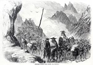 Mules carrying Spanish wines across the Pyrenees Mules carrying Spanish wines across the Pyrenees