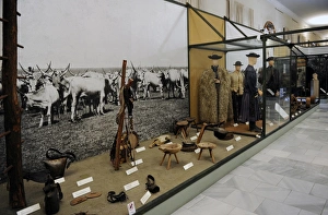 Museum of Ethnography. Interior. Budapest Museum of Ethnography. Interior. Budapest