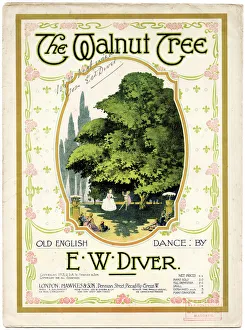 Music cover, The Walnut Tree, by E W Diver Music cover, The Walnut Tree, by E W Diver
