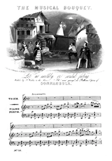 The musical bouquet - Music Sheet Cover The musical bouquet - Music Sheet Cover