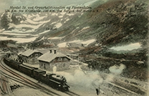 MYRDAL st. ved Gravehalstunnellen og Flaamsdalen Norway MYRDAL st. ved Gravehalstunnellen og Flaamsdalen Norway