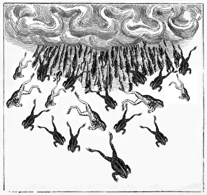 19th Century Print: A Mysterious Fall of Frogs