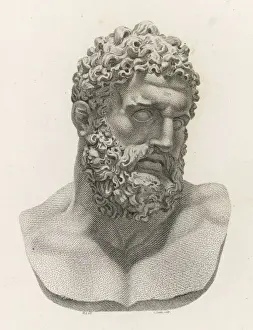 Hercules Statue Prints: Myth / Hercules Bust