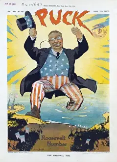 National Symbolism Prints: The national him