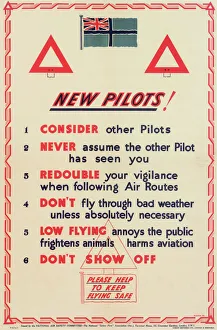 National Air Safety Committee Poster National Air Safety Committee Poster