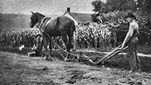 National Childrens Home, Canada - One of Our Boys Ploughin National Childrens Home, Canada - One of Our Boys Ploughin