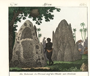 Native standing next to termite hills on the Native standing next to termite hills on the