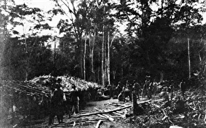 Native Troops Building Shelters, German Cameroon Print, 1914