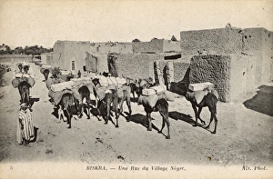Native village with camels, Biskra, Algeria Native village with camels, Biskra, Algeria
