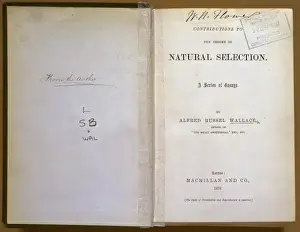 Natural Selection Theory Prints: Natural Selection