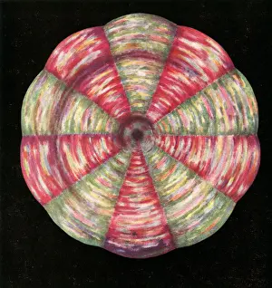 1927 Print of The Navel Chakra