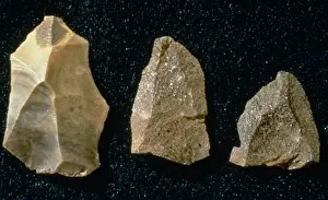 Prints of Stone tools believed to once have belonged to Neanderthal Man (Homo neanderthalensis) who lived in Gorhams Cave, Gibraltar Neanderthalensis Prints: Neanderthal Man Stone Tools Print, Gorhams Cave, Gibraltar